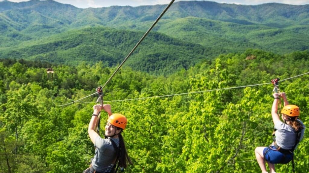 Climb Works Zipline and Canopy Tours