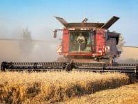 States Ranked by Agricultural Production