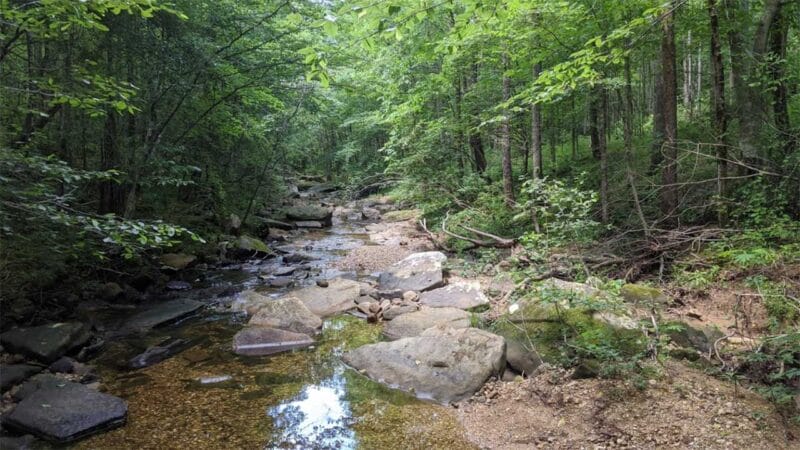 best hiking trail in alabama