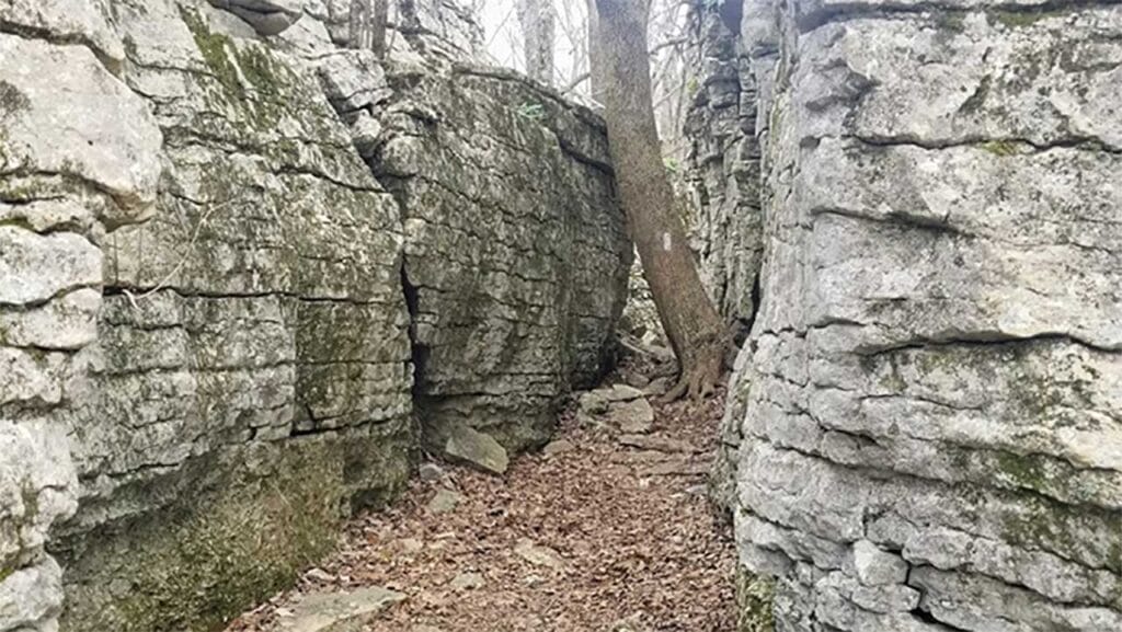 Stone Cuts Trail