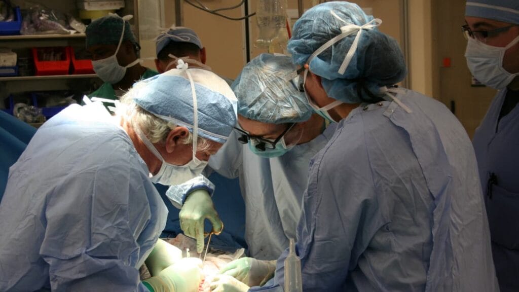 Surgeon is one of the Highest Paying Jobs in Alabama