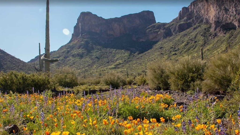 Picacho Peak is one of the top state parks in Arizona