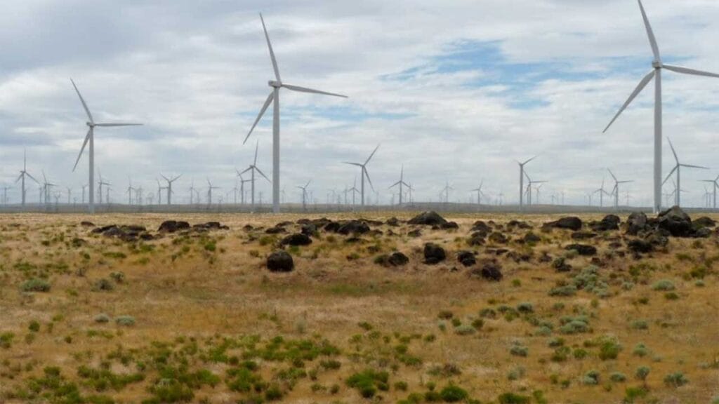 Shepherds Flat Wind Farm is one of the biggest wind farms in the US