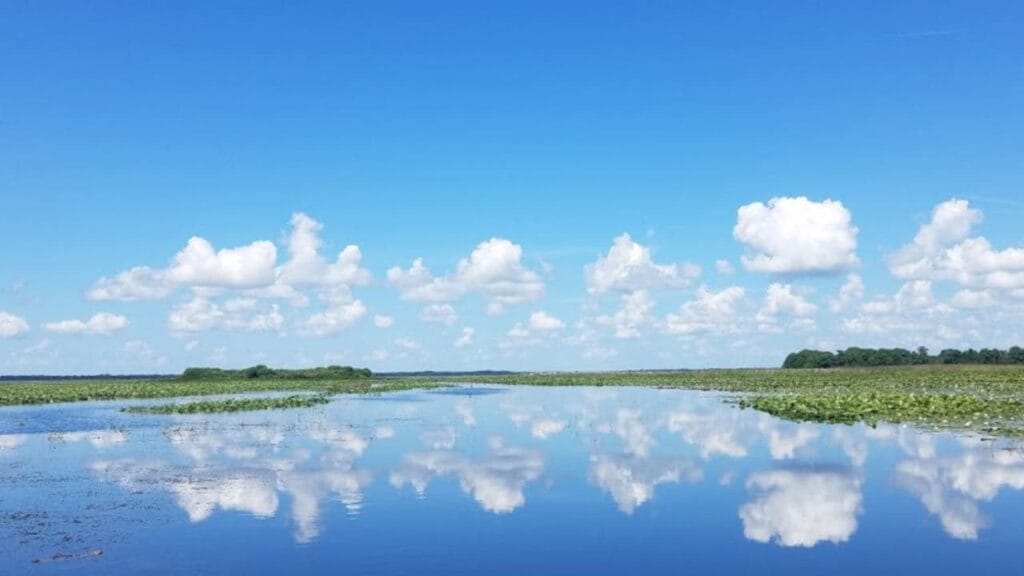 Lake Istokpoga