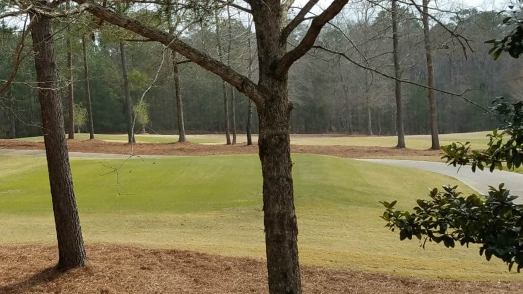 Willow Point Golf & Country Club is one of the best Top Rated Golf Courses in Alabama