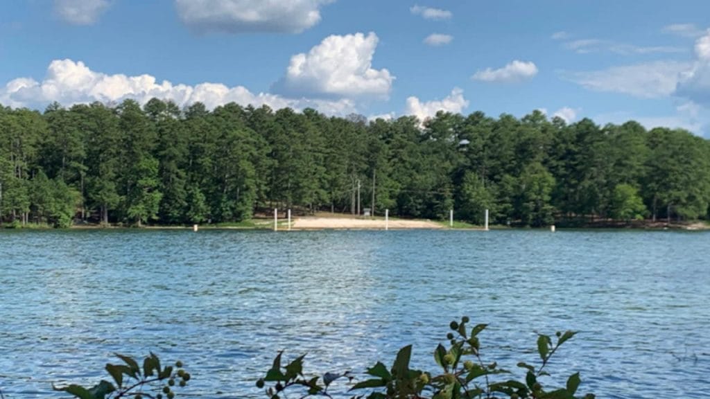 Lake Allatoona is one of the Best Lakes in Georgia You Must Visit