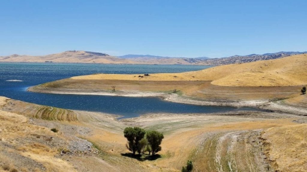 Upper Cottonwood Creek Wildlife Area is one of the best Public Hunting Lands in California