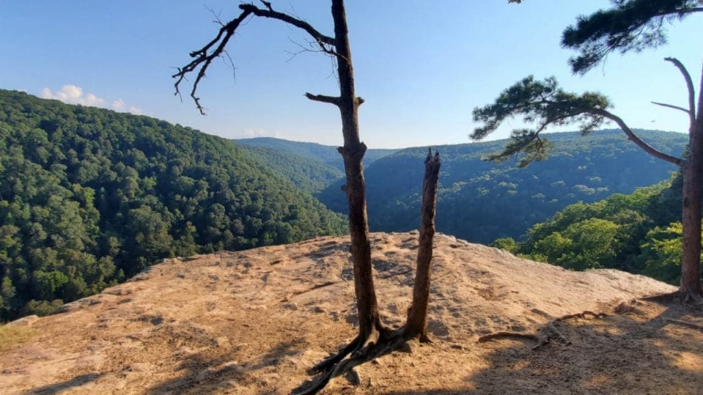 Whitaker Point Trail is one of the most Wonderful Hiking Trails in Arkansas