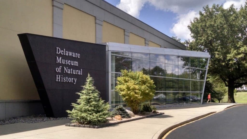 Delaware Museum of Nature & Science