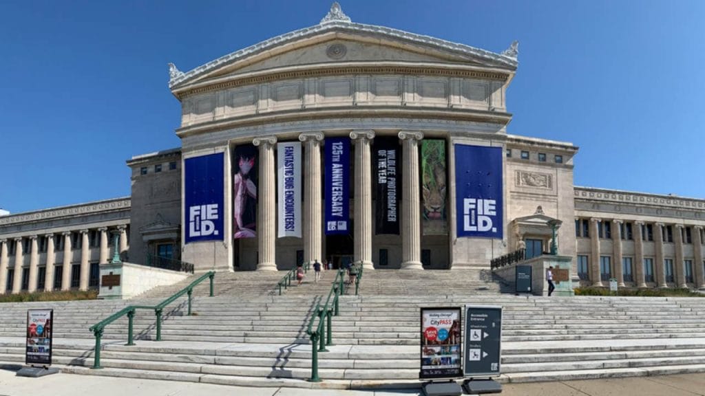 The Field Museum is one of the Best Museums in Illinois You Should Visit