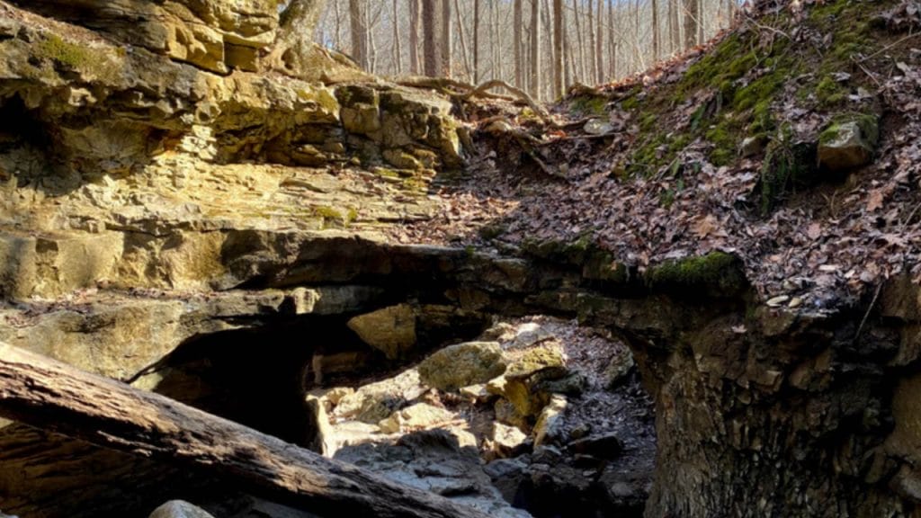 Wolf Cave is one of the Best Caves in Indiana You can Explore