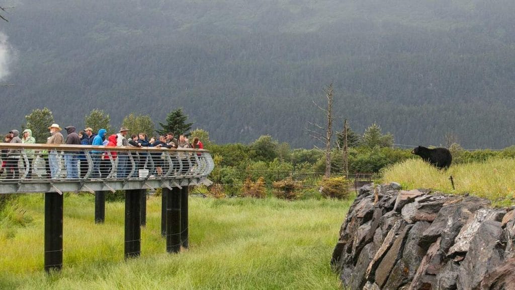 Alaska Wildlife Conservation Centre is one of the best Zoos in Alaska