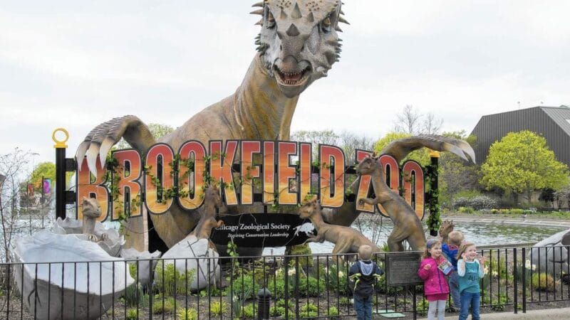 11 Best Zoos in Illinois You Might Visit [Update 2023]
