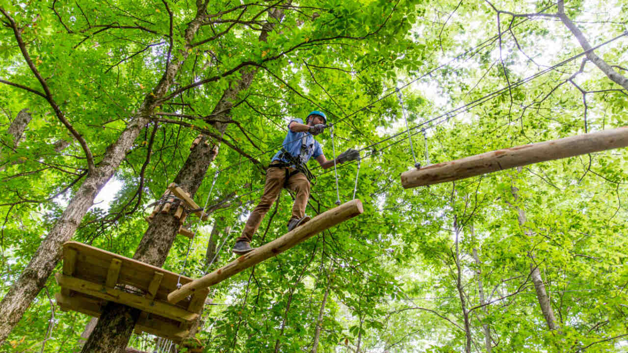 11 Best Ziplines in Indiana [Update 2023]