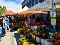 farmers markets in Iowa